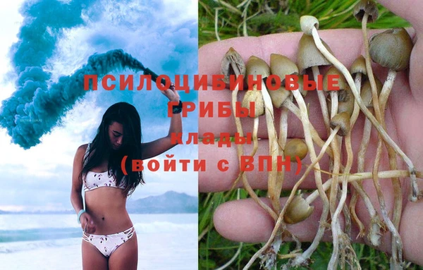 spice Армянск