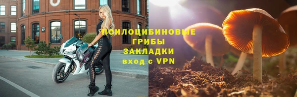spice Армянск