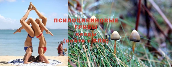 соль курить ск Аркадак