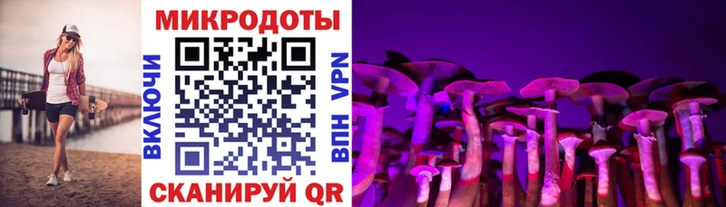 Галлюциногенные грибы прущие грибы  купить  цена  Дзержинск 